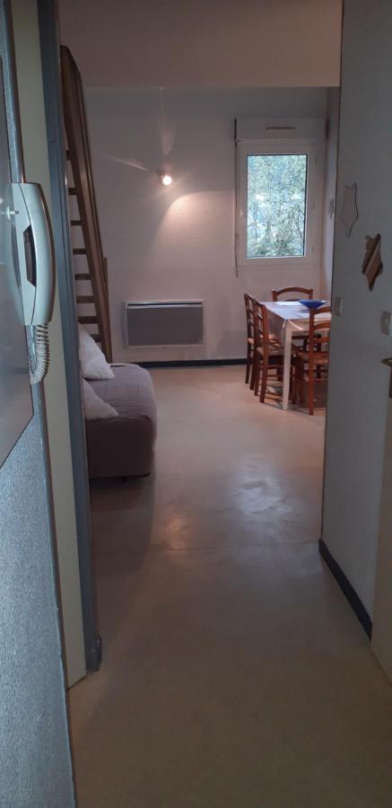 Apartmán Montagne Ariegeoise Aulus-les-Bains Exteriér fotografie