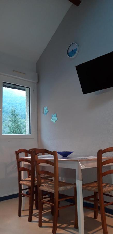 Apartmán Montagne Ariegeoise Aulus-les-Bains Exteriér fotografie