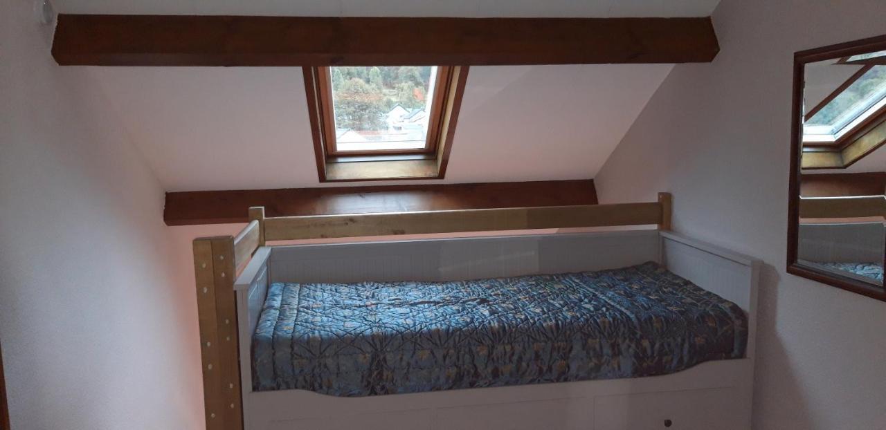 Apartmán Montagne Ariegeoise Aulus-les-Bains Exteriér fotografie